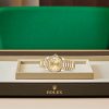 DAY-DATE 36-(Oyster, 36 mm, yellow gold)