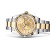 SKY-DWELLER-(Oyster, 42 mm, Oystersteel and yellow gold)