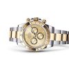 COSMOGRAPH DAYTONA-(Oyster, 40 mm, Oystersteel and yellow gold)