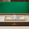 DAY-DATE 36-（Oyster, 36 mm, white gold）