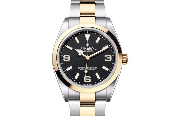 EXPLORER 36-(Oyster, 36 mm, Oystersteel and yellow gold)