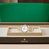 DAY-DATE 36-（Oyster, 36 mm, yellow gold）