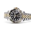 GMT-MASTER II-(Oyster, 40 mm, Oystersteel and yellow gold)