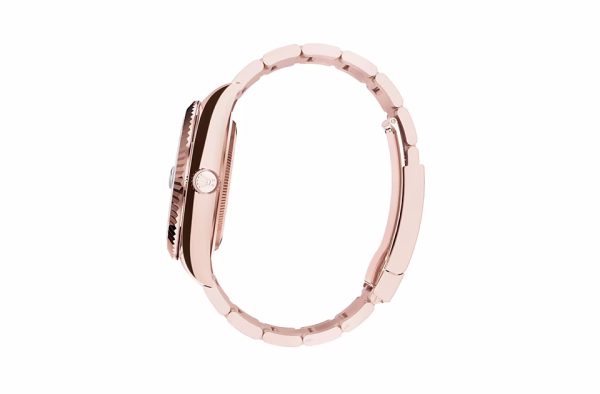 SKY-DWELLER-(Oyster, 42 mm, Everose gold)