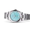 OYSTER PERPETUAL 36-(Oyster, 36 mm, Oystersteel)