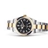 EXPLORER 36-(Oyster, 36 mm, Oystersteel and yellow gold)