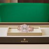 DAY-DATE 40-（Oyster, 40 mm, Everose gold and diamonds）