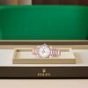 DAY-DATE 36-（Oyster, 36 mm, Everose gold）