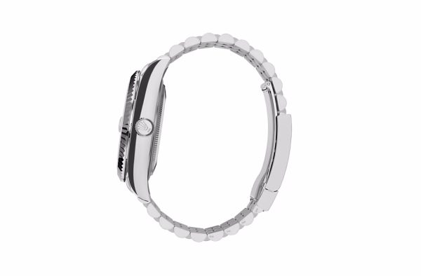 SKY-DWELLER-(Oyster, 42 mm, Oystersteel and white gold)
