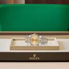 DATEJUST 41-(Oyster, 41 mm, Oystersteel and yellow gold)