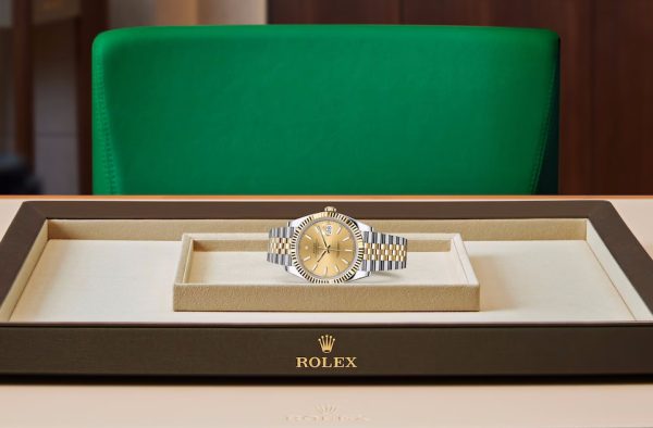 DATEJUST 41-(Oyster, 41 mm, Oystersteel and yellow gold)