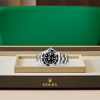SEA-DWELLER-(Oyster, 43 mm, Oystersteel)