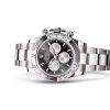 COSMOGRAPH DAYTONA-(Oyster, 40 mm, white gold)