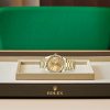 DAY-DATE 40-（Oyster, 40 mm, yellow gold）