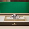 DATEJUST 41-(Oyster, 41 mm, Oystersteel and Everose gold)
