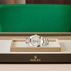 DATEJUST 41-(Oyster, 41 mm, Oystersteel and yellow gold)