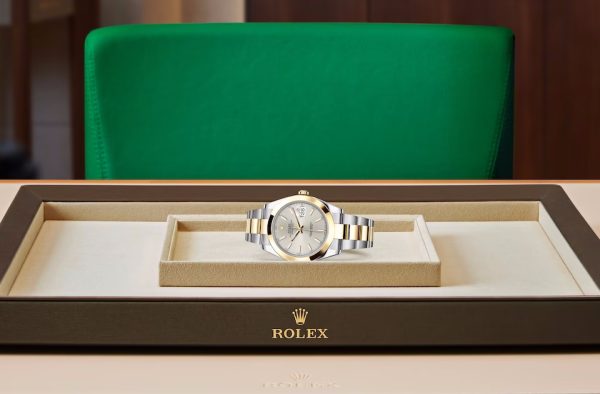 DATEJUST 41-(Oyster, 41 mm, Oystersteel and yellow gold)