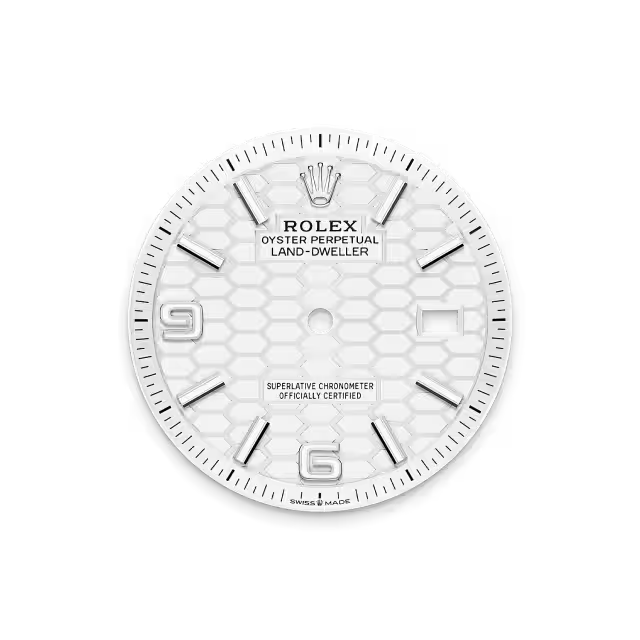 Rolex Land-Dweller 36 mm Oystersteel White Gold M127334-0001 - Image 13