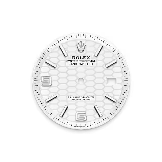 Rolex Land-Dweller 40 mm Oystersteel White Gold M127334-0001 - Image 10